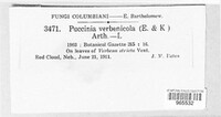 Image Associated With the Occurence